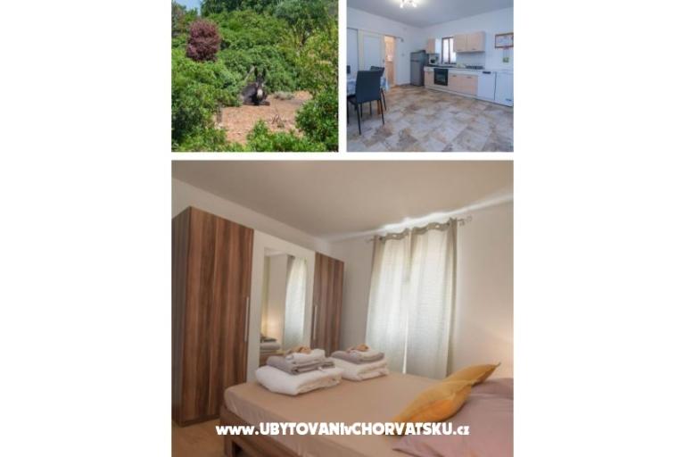App Bonić – photo 6
