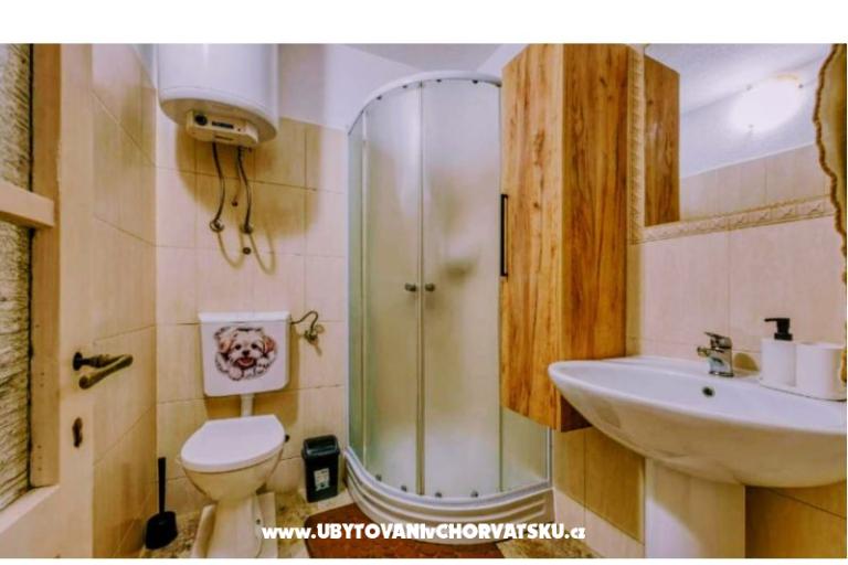 App Bonić – photo 79