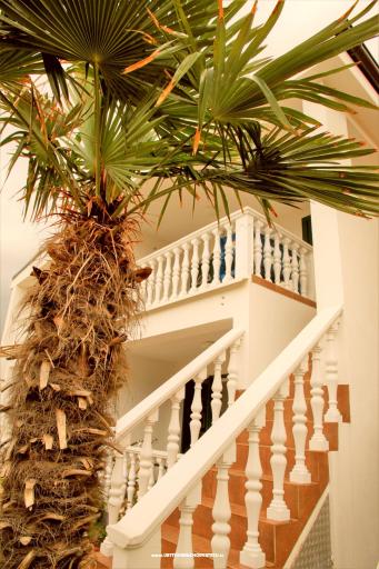 Apartment Bura – photo 3