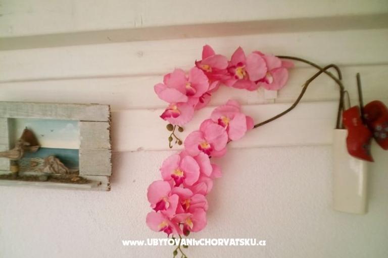Apartments Alma – photo 17