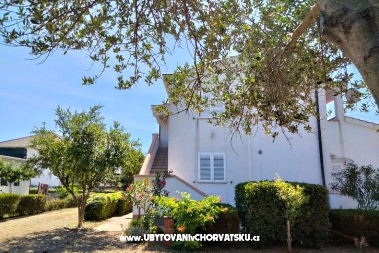 Apartments Budija / Viola – photo 2