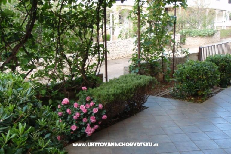 Apartments Cestar – photo 5