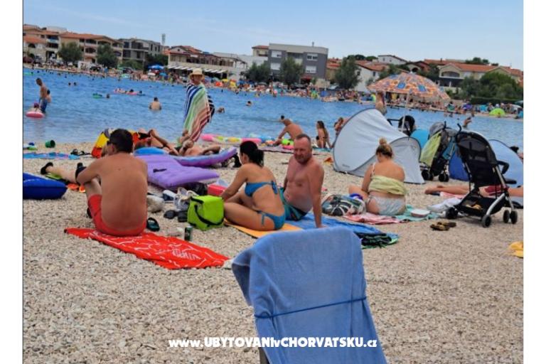 Apartments Dalija  Vir – photo 18