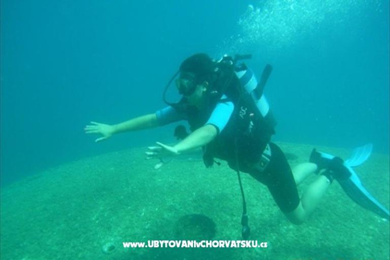 Apartments Debeljak – photo 7