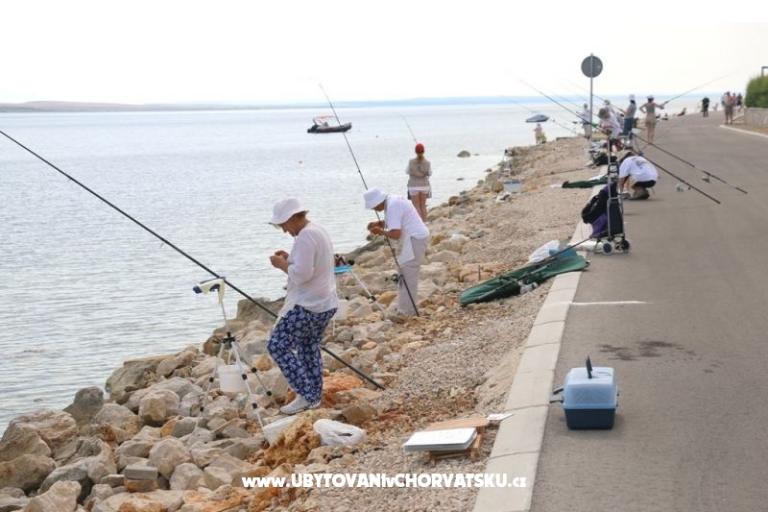 Apartments Debeljak – photo 8