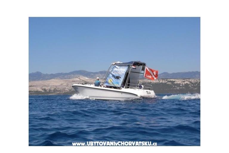 Apartments Kalaj – photo 11