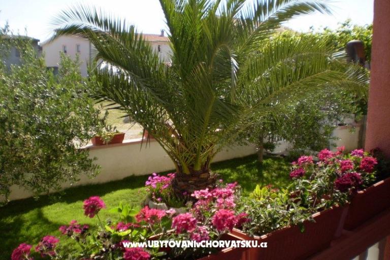 Apartments Kantoci – photo 12