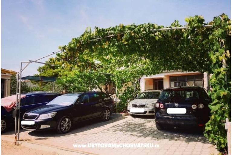 Apartments Kipas – photo 5