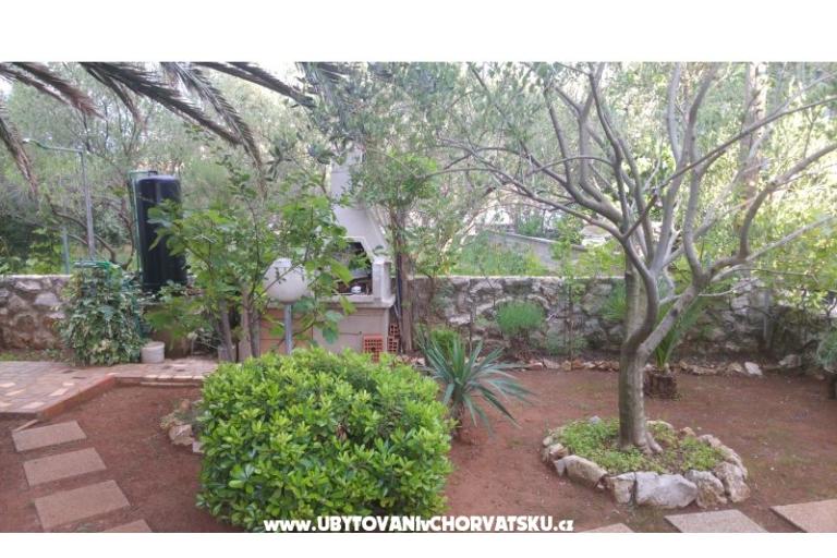 Apartments Milka Vir – photo 5