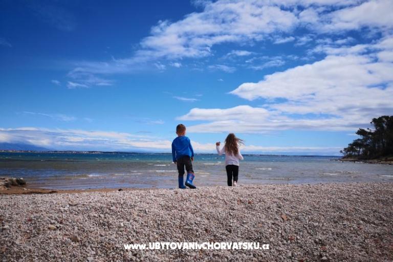 Apartments Pedic – photo 7