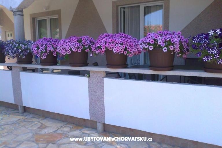 Apartments Robi – photo 4