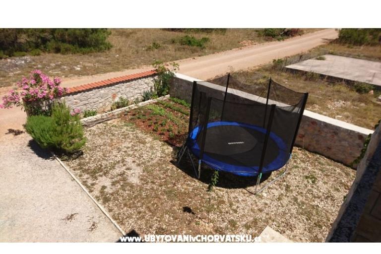 Apartments Samanta Vir – photo 5