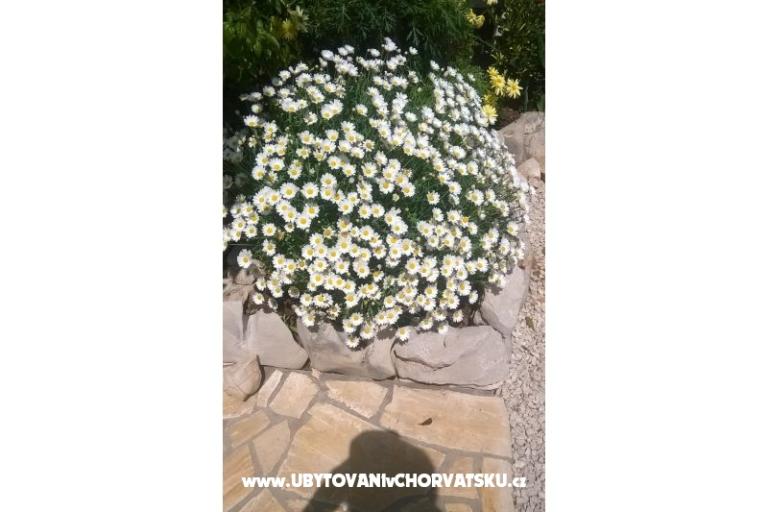 Apartments Štefanija – photo 11