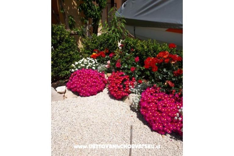 Apartments Štefanija – photo 14