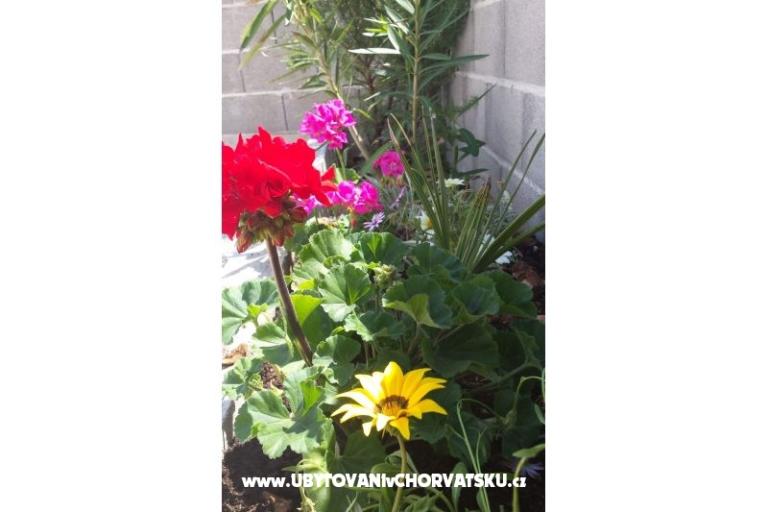 Apartments Maja – photo 14