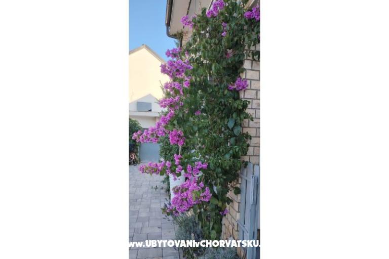 Apartments Sunce – photo 35