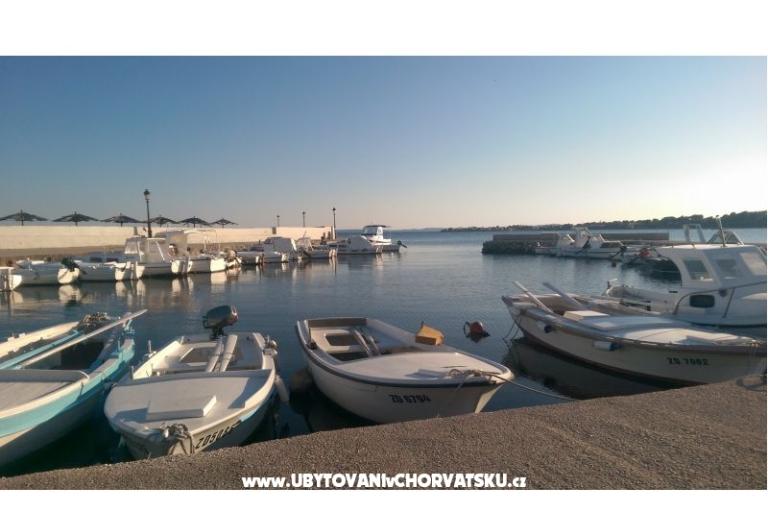 Apartments Budija / Lavanda – photo 12