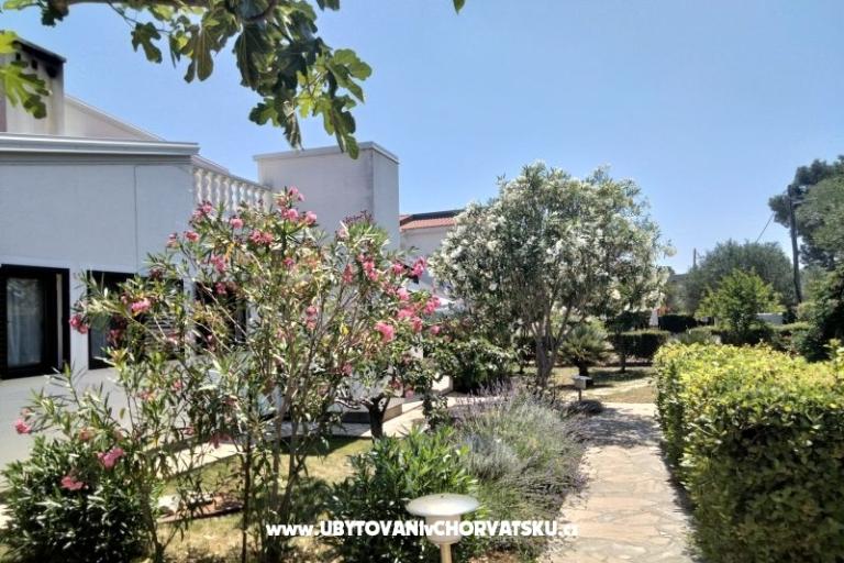 Apartments Budija / Lavanda – photo 2