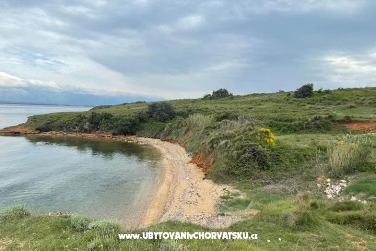 Apartments Budija / Lavanda – photo 3