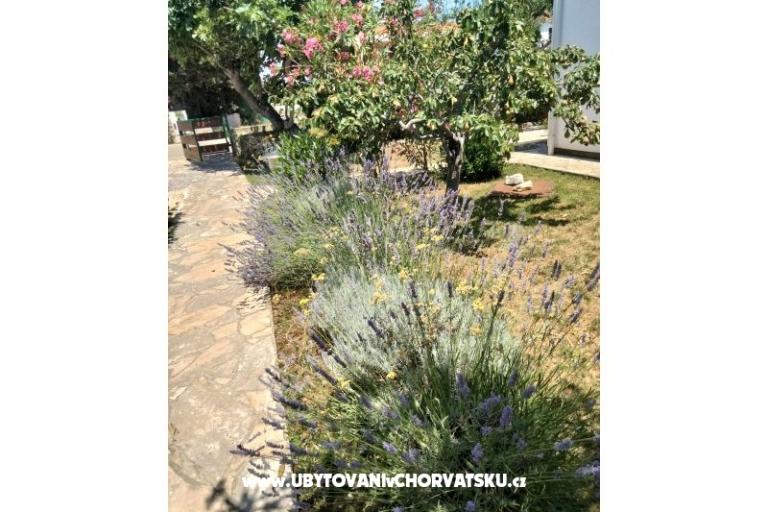 Apartments Budija / Lavanda – photo 4
