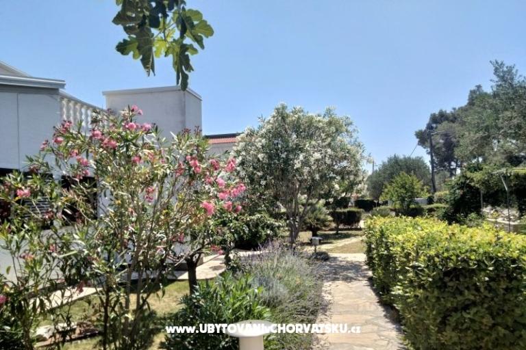 Apartments Budija / Lavanda – photo 6