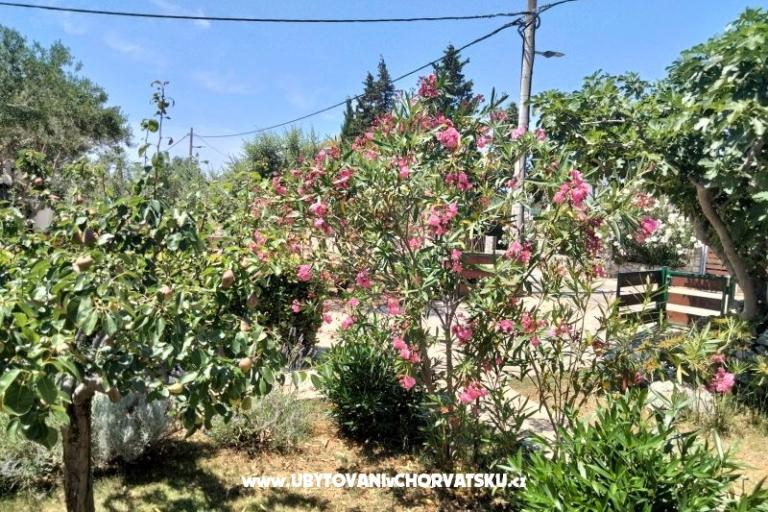 Apartments Budija / Lavanda – photo 8