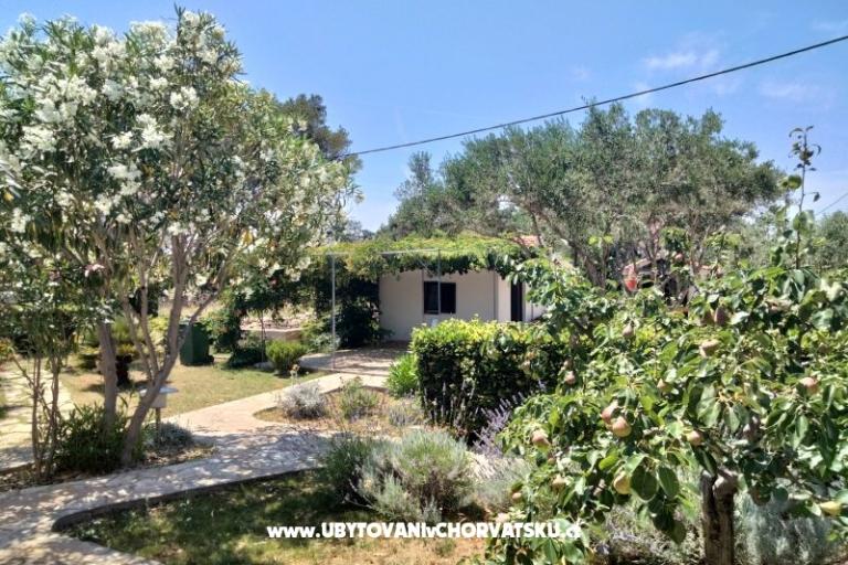 Apartments Budija / Lavanda – photo 9