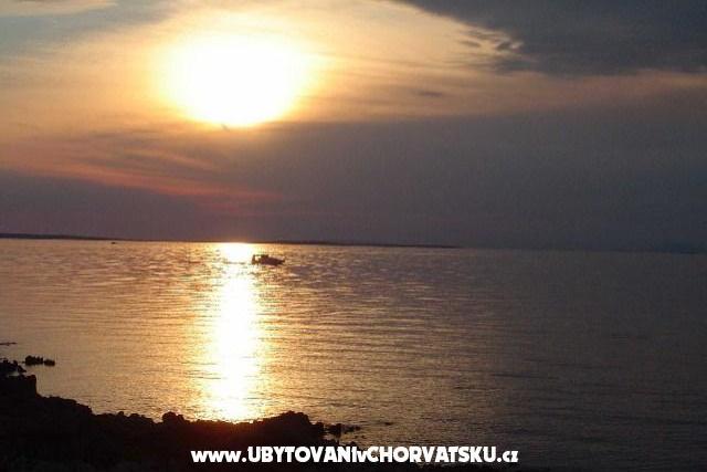 Apartments Zitna – photo 16