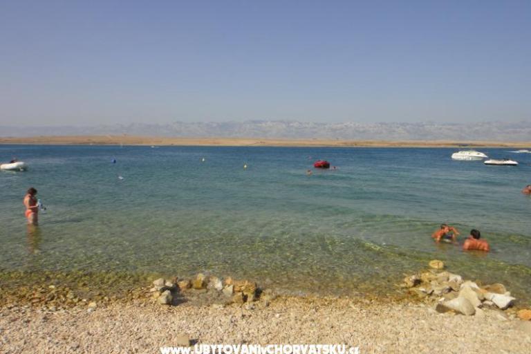 Apartments Zitna – photo 8