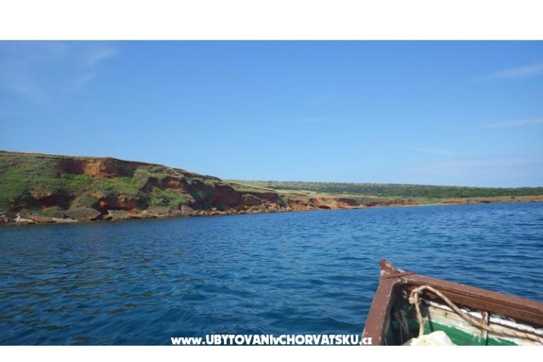 Apartments Zitna – photo 9