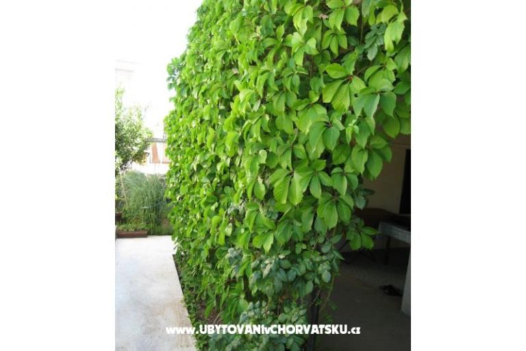Apartment Lučica – photo 12