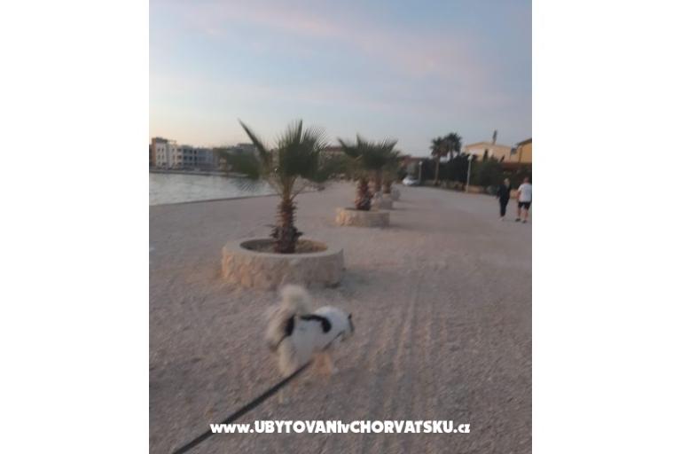 Apartments IVA – photo 35