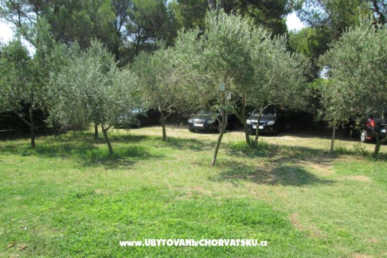 Apartments Pavlica – photo 8