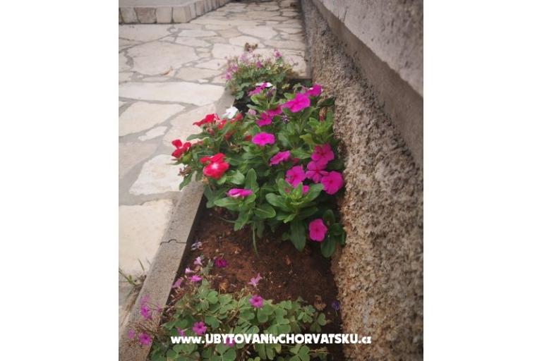 Apartments Vlašić – photo 10