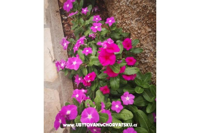 Apartments Vlašić – photo 9