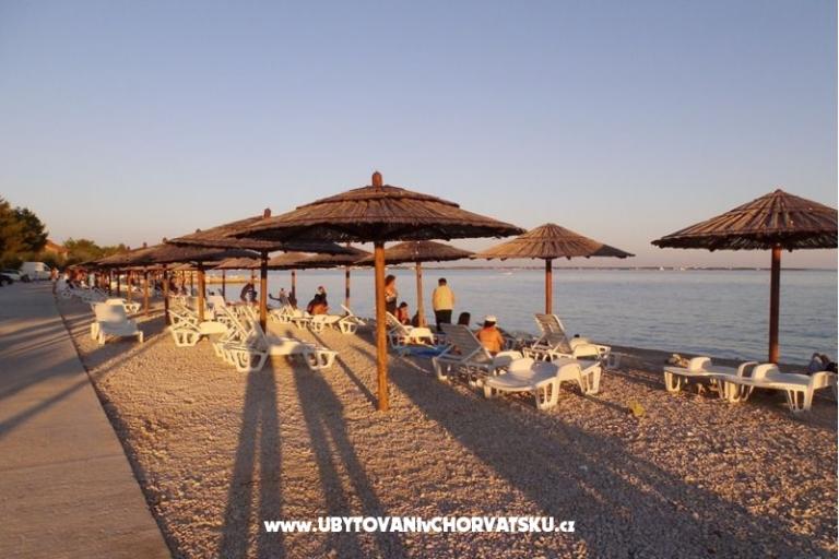 House Paul – photo 13