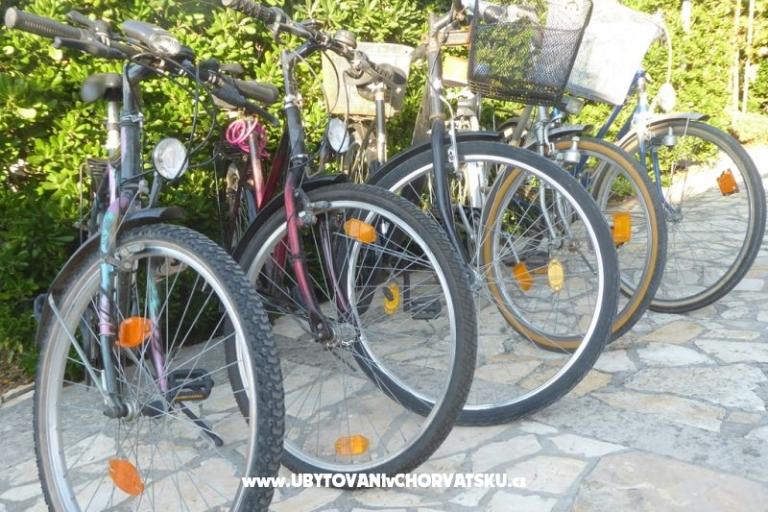 House Paul – photo 14