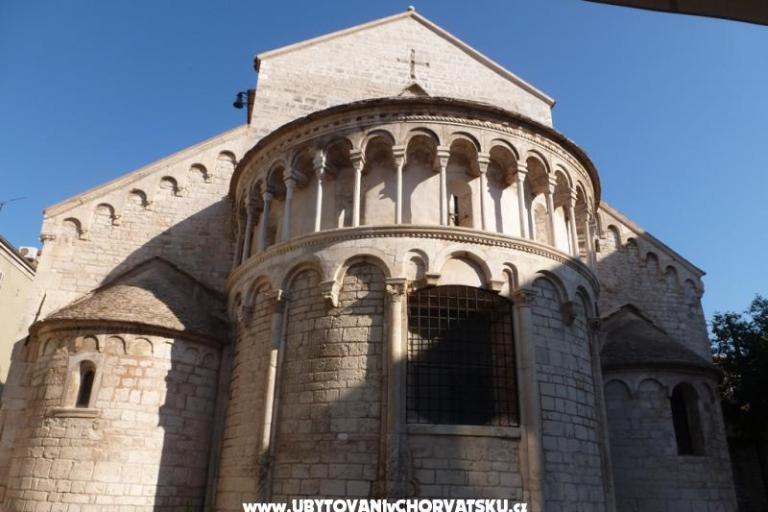 House Paul – photo 15