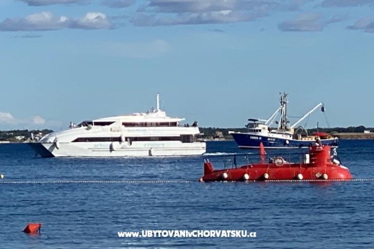 House Šijak – photo 4