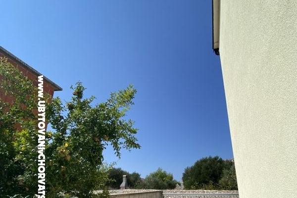 APARTMANI HELENA OASIS VIR – photo 19