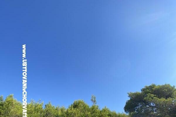 APARTMANI HELENA OASIS VIR – photo 24