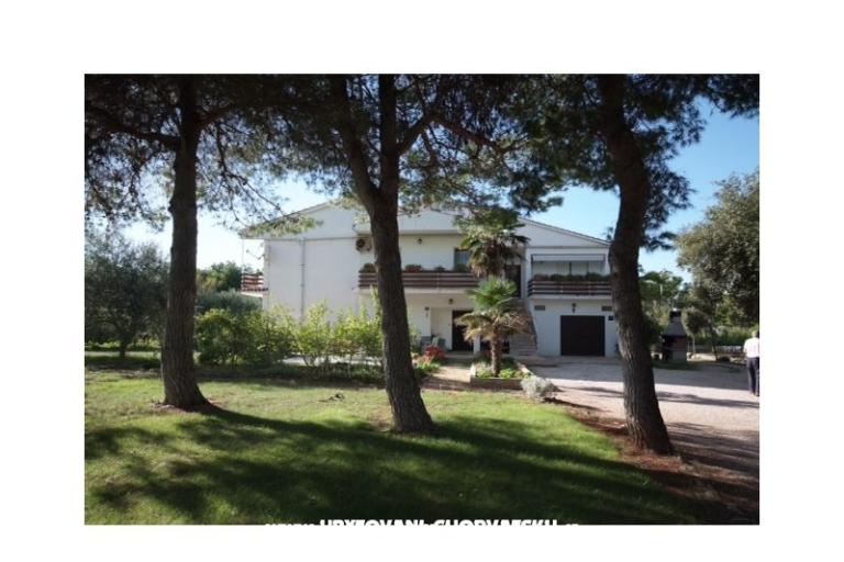 Apartments Liveric – photo 10