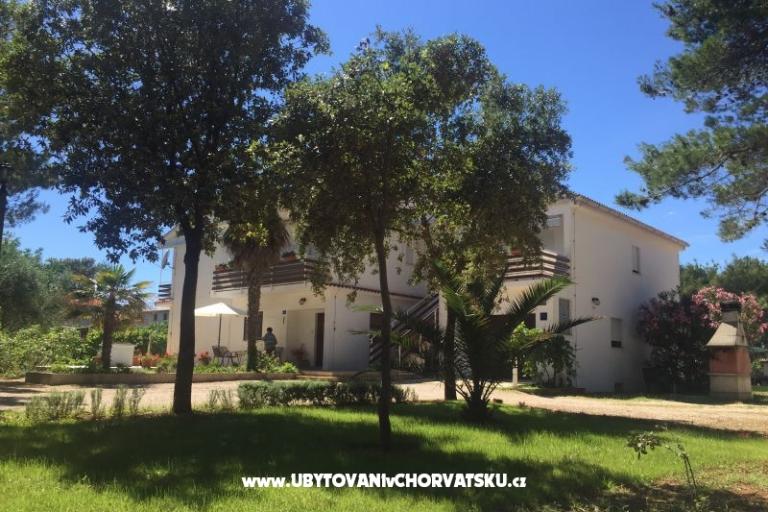 Apartments Liveric – photo 3