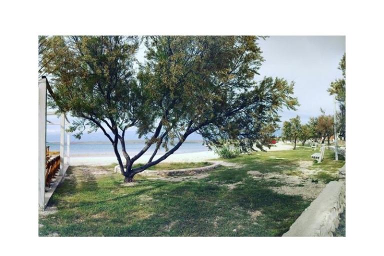 House Aqualis – photo 6