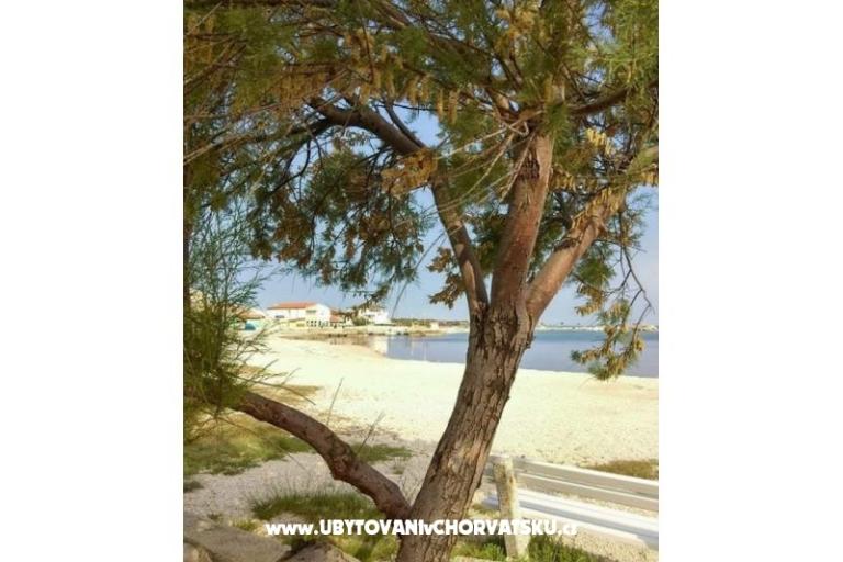 House Aqualis – photo 7