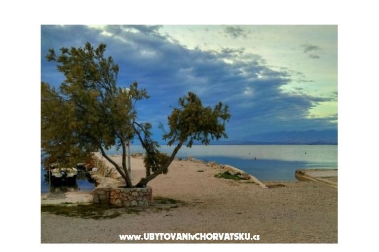 House Aqualis – photo 8