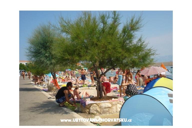 Apartments-MGM Vir – photo 15