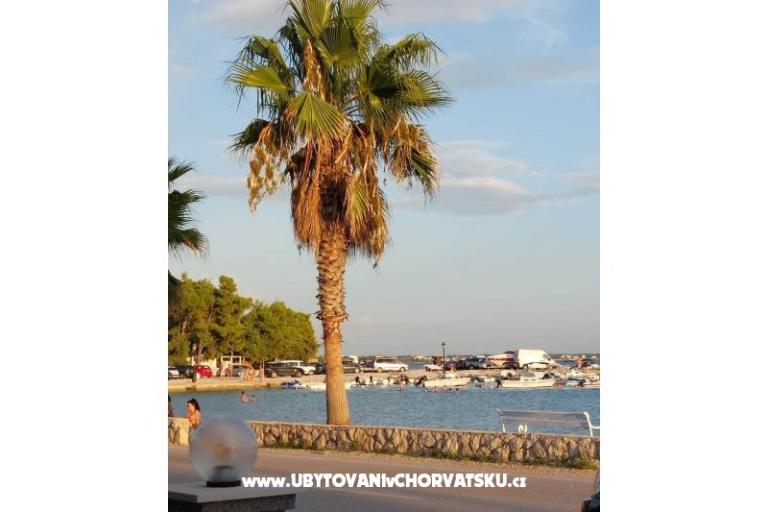 Tonis Apartments – photo 12