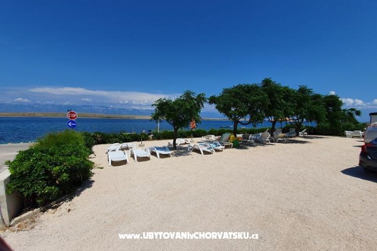 Villa Ivanović – photo 10