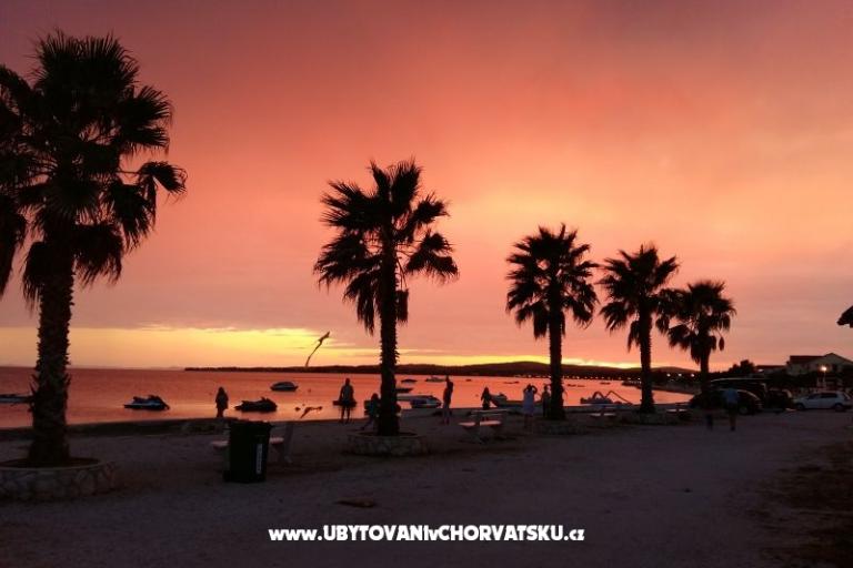 Villa Selina – photo 5